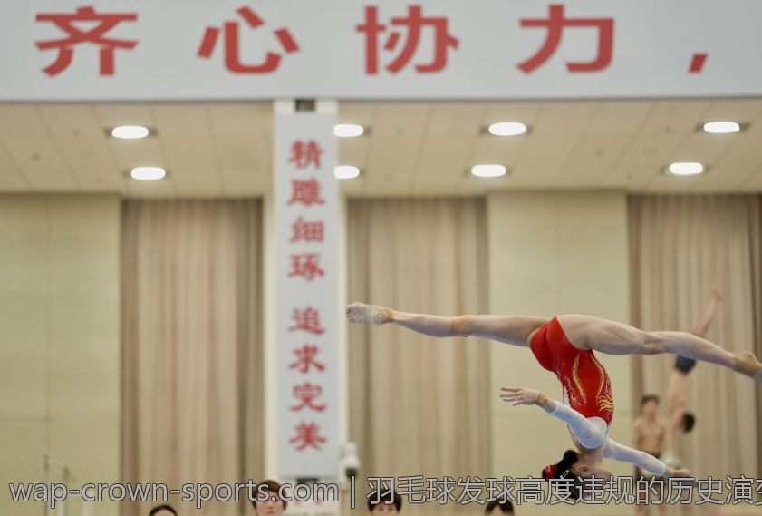 羽毛球发球高度违规的历史演变与未来发展趋势